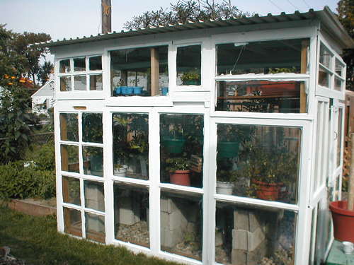 Gewächshaus aus Recyclingfenster