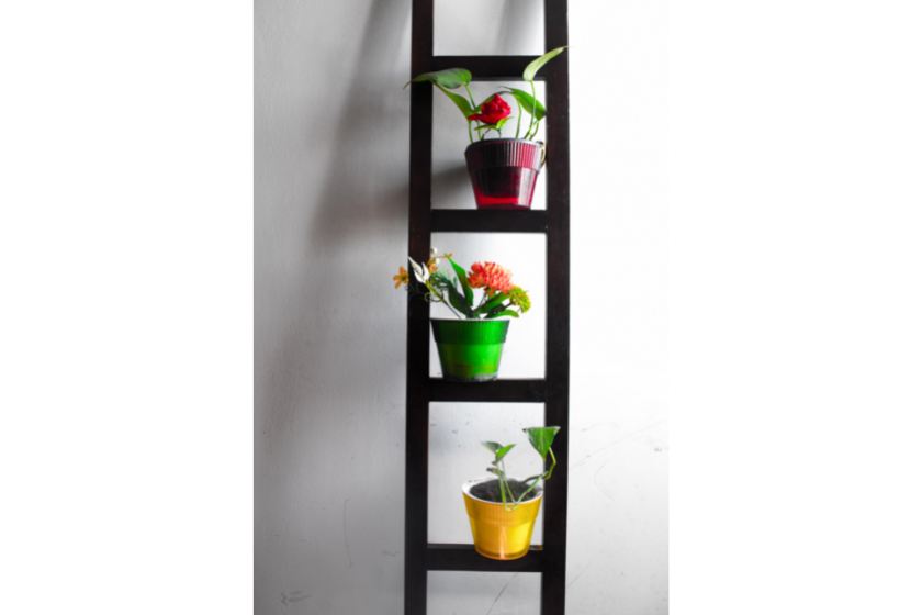 Holzleiter mit Blumen