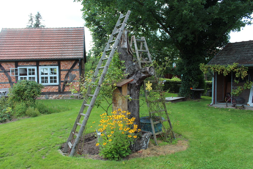 Holzleitern in einem Garten an einem Baum