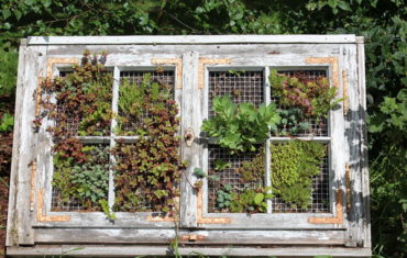 fensterbeet