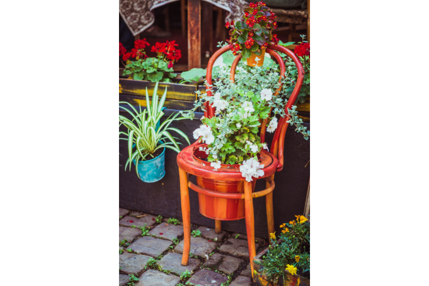 Alter Holzstuhl mit Blumentopf