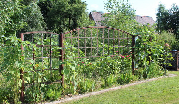 Rankgerüst aus altem Eisemfenster