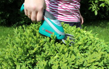 Eine Frau schneidet eine Hecke mit einer kleinen Akku Gartenschere