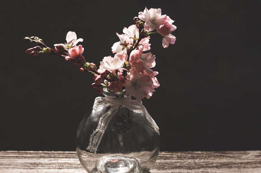 Rosa Blütenblattblume In der Vase
