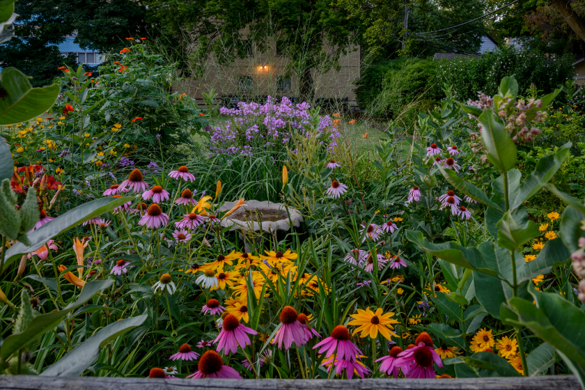 Staudengarten Bild Canva SmadarSonyaStrauss